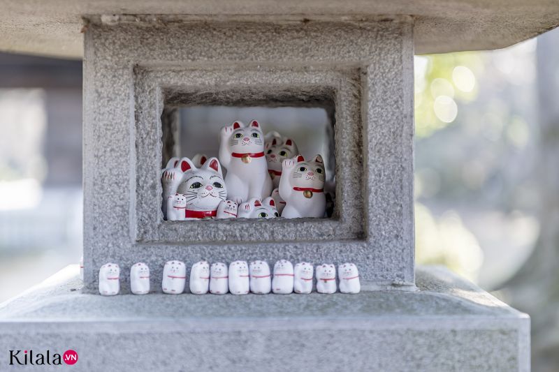 chùa mèo chiêu tài Gotokuji